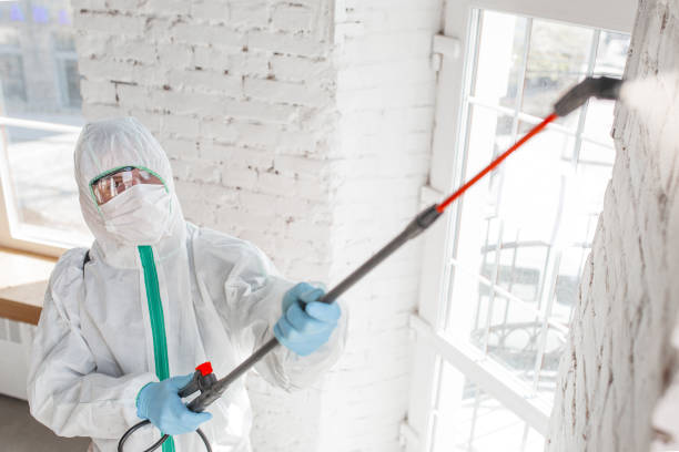 Best Biohazard Mold Removal  in St Francis, MN