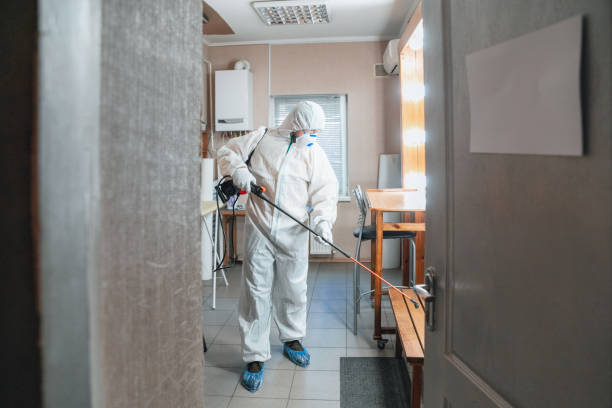 Best Post-Construction Mold Inspection  in St Francis, MN