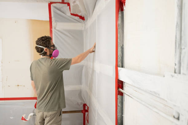 Best Commercial Mold Inspection  in St Francis, MN