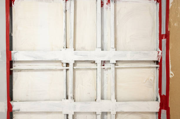 St Francis, MN Mold Removal Company
