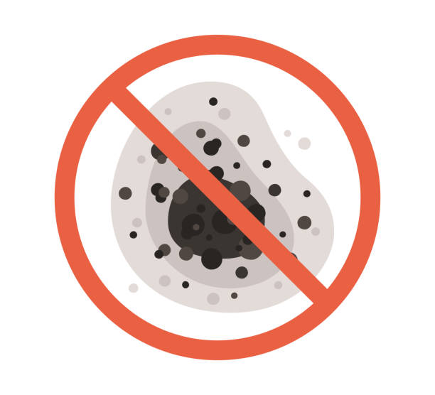 Best Residential Mold Inspection & Testing  in St Francis, MN