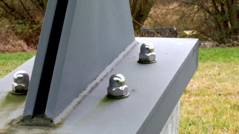 Best Asbestos and Lead Testing During Mold Inspection  in St Francis, MN